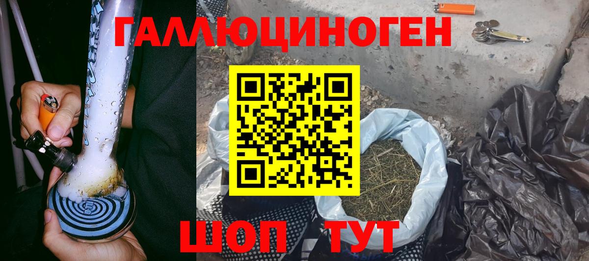 Галлюциногенные грибы Cubensis  Вход с VPN  Нижний Новгород  Псилоцибиновые грибы Cubensis 
